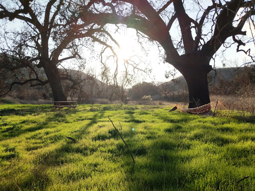 National Park «Cheseboro and Palo Comado Canyon», reviews and photos, 5792 Chesebro Rd, Agoura Hills, CA 91301, USA