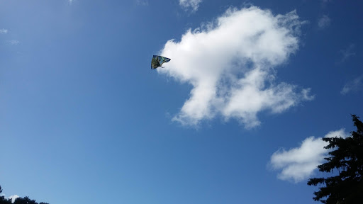 Water Park «Petersen Splash Pad at Watson Park», reviews and photos, Gordon Rd, Braintree, MA 02184, USA