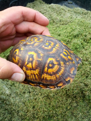 Golf Course «Gaylord Springs Golf Links», reviews and photos, 18 Springhouse Ln, Nashville, TN 37214, USA