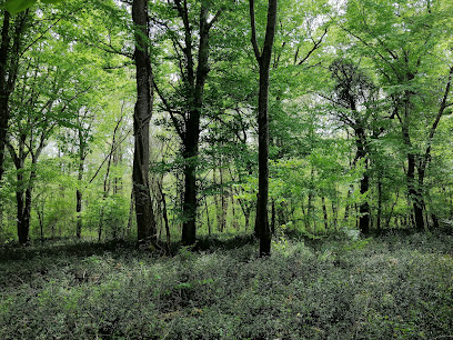 İğneada Longoz Ormanları Milli Parkı