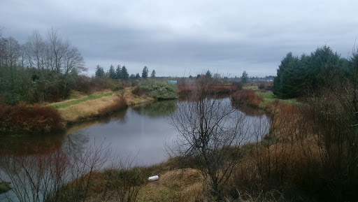 Hotel «Shilo Inn Hotel», reviews and photos, 1609 E Harbor St, Warrenton, OR 97146, USA