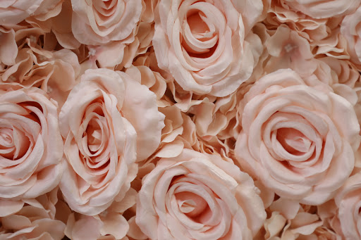 Bridal Shop «RashawnRose Bridal and Prom», reviews and photos, 12920 W State Rd 84, Fort Lauderdale, FL 33325, USA