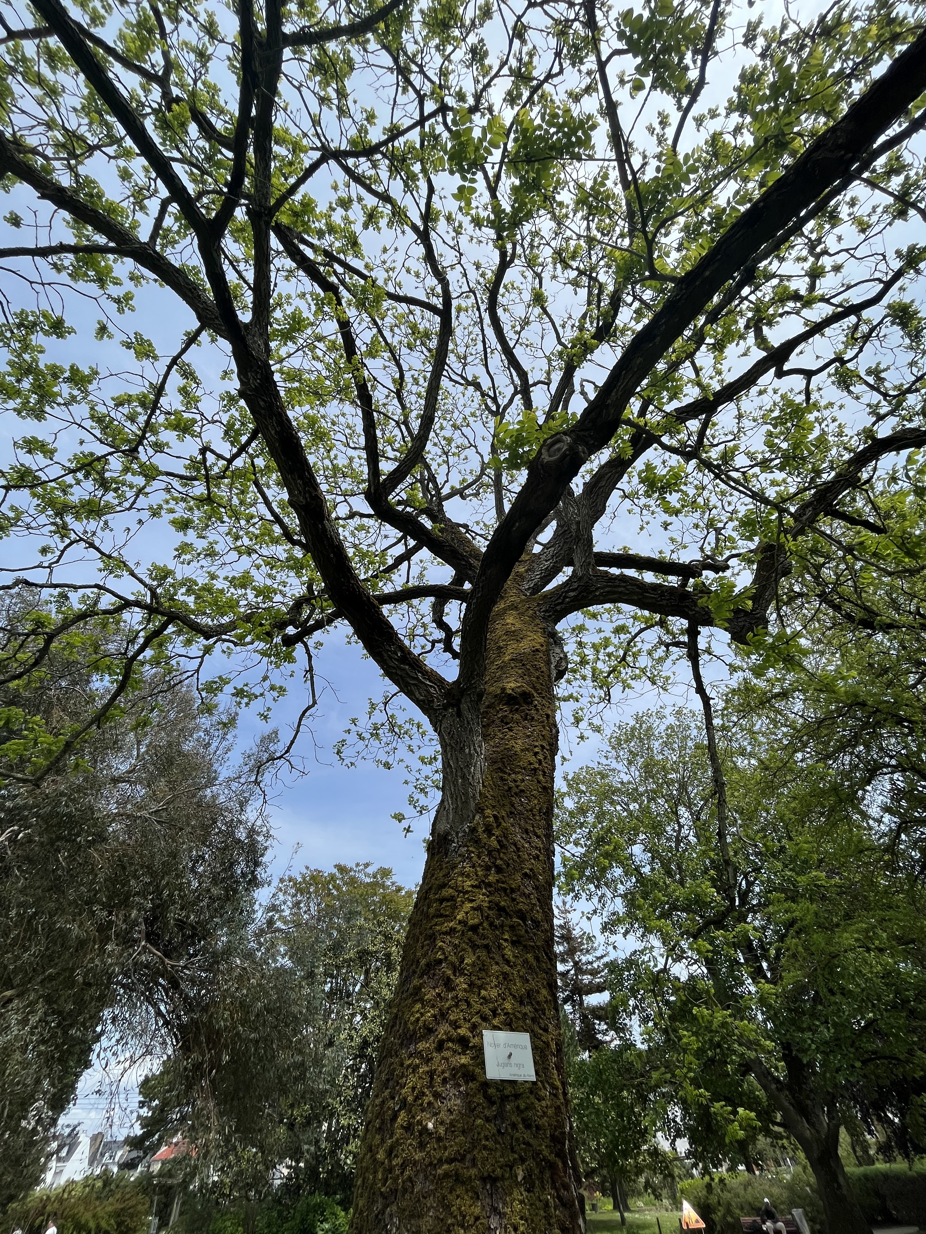 Photo n° 2 de l'avis de Cloé. fait le 21/05/2023 à 14:17