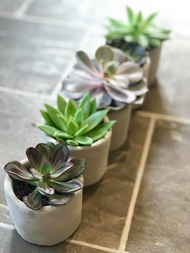 Florist «The Flower Girl», reviews and photos, 108 S 5th St, Middletown, IN 47356, USA