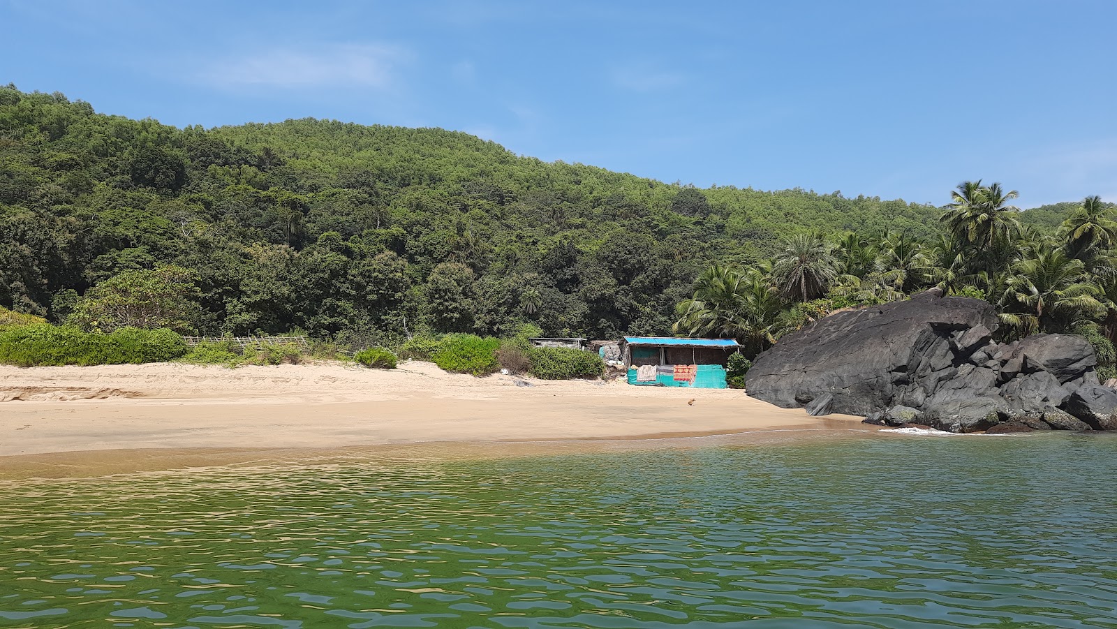 Photo de Half Moon Beach situé dans une zone naturelle