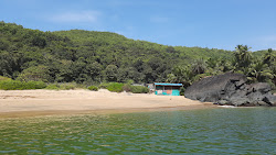 Half Moon Beach'in fotoğrafı ve güzel manzarası