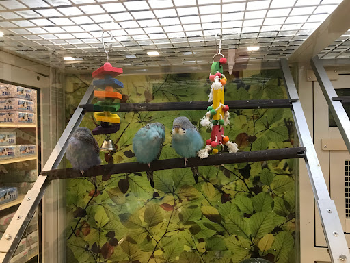 Pet Supply Store «PetSmart», reviews and photos, 4240 S Mooney Blvd, Visalia, CA 93277, USA