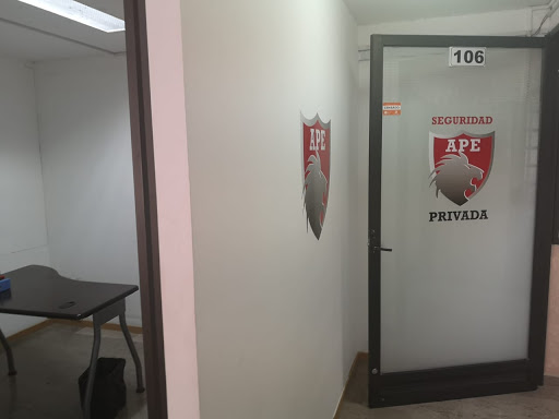 APE - Protección Empresarial Seguridad Privada (Ciudad de México)