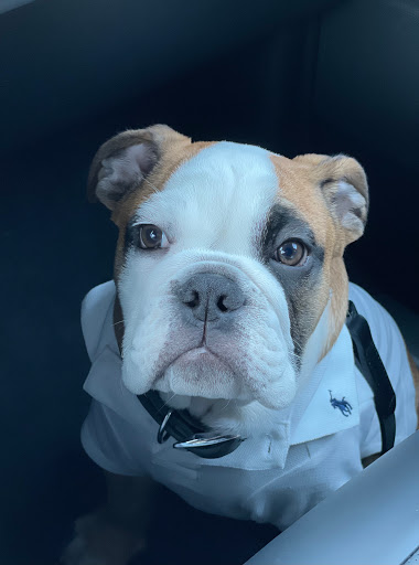 Personal Injury Attorney «The Watson Firm, PLLC», reviews and photos