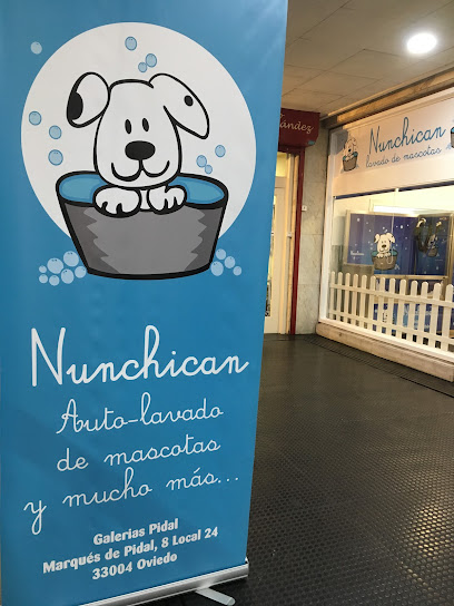 Nunchican - Servicios para mascota en Oviedo