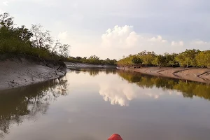 Sundarbans Bee - Tour & Travels image