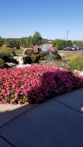 Resort «Great Wolf Lodge Concord», reviews and photos, 10175 Weddington Road, Concord, NC 28027, USA