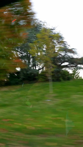 Museum «The George Washington Masonic National Memorial», reviews and photos, 101 Callahan Dr, Alexandria, VA 22301, USA