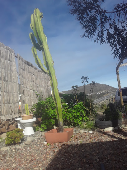 Emporio olla de barro by flor del cactus