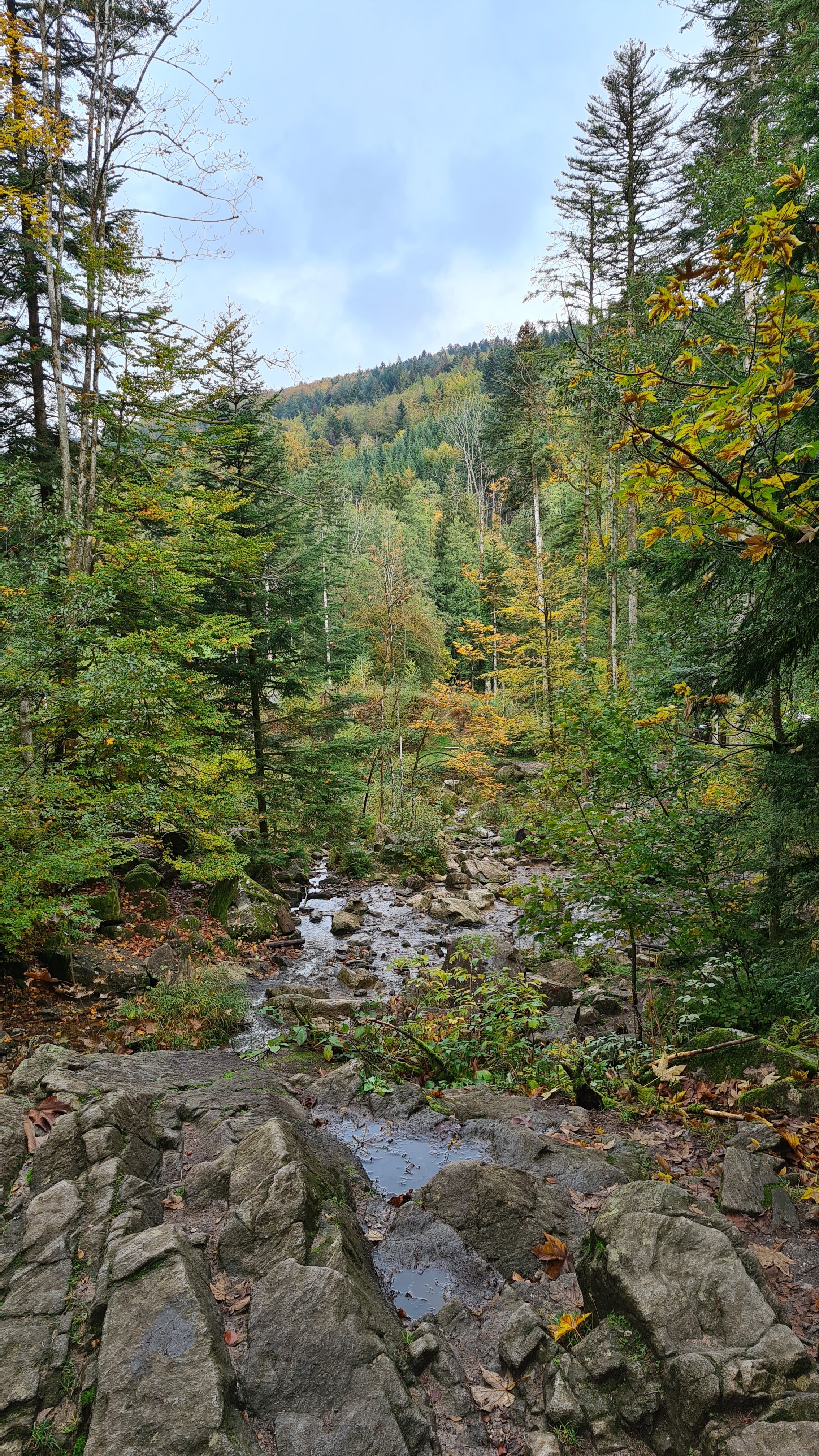 Photo n° 5 de l'avis de Philippe.o fait le 23/10/2020 à 11:39