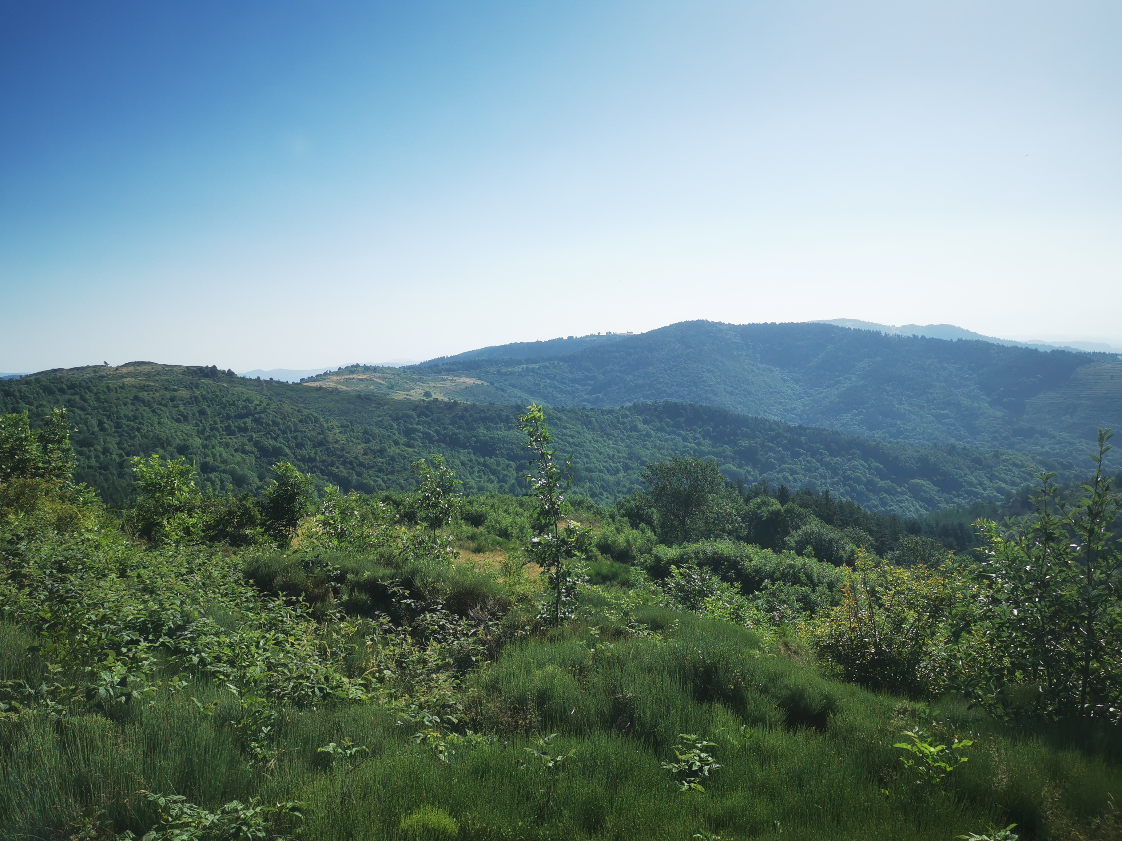 Photo n° 43 de l'avis de Seb. fait le 14/07/2023 à 04:55