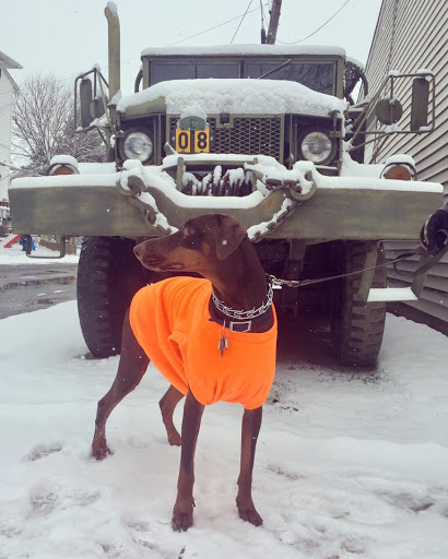 Gun Shop «Superior Gunsmithing & Custom Shop LLC.», reviews and photos, 15 N Robeson St, Robesonia, PA 19551, USA