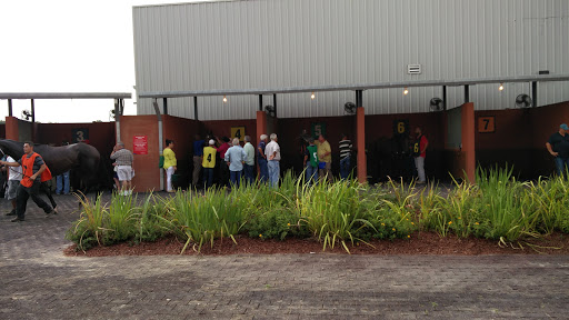 Casino «Evangeline Downs Racetrack & Casino», reviews and photos, 2235 Cresswell Lane Extension, Opelousas, LA 70570, USA