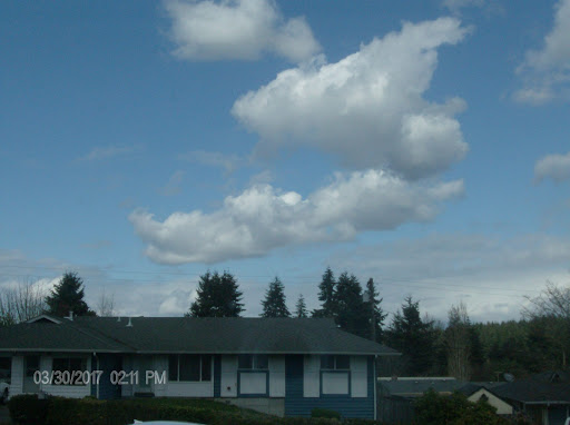 Thrift Store «72nd Street Goodwill», reviews and photos, 1415 E 72nd St, Tacoma, WA 98404, USA