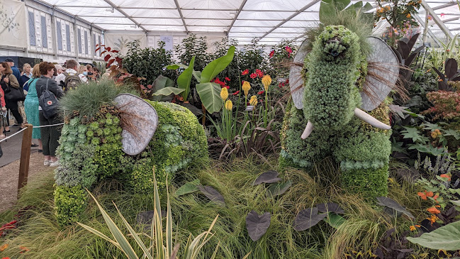 Reviews of Chelsea flower showgrounds, Royal Horticultural Society in London - Other
