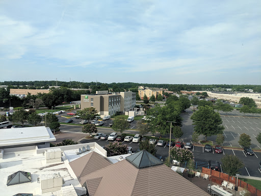 Hotel «Delta Hotels by Marriott Chesapeake», reviews and photos