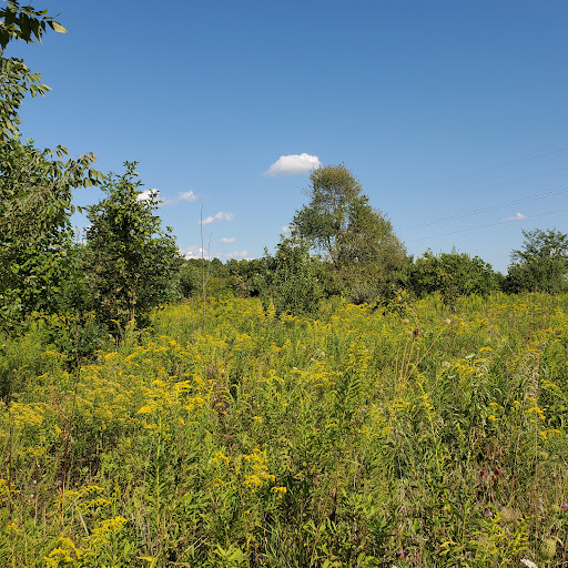 Nature Preserve «Kokiwanee Nature Preserve», reviews and photos, 5825 E 50 S, Lagro, IN 46941, USA