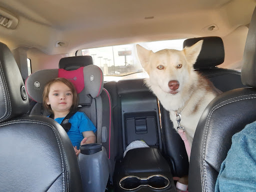 Pet Supply Store «Pet Supplies Plus», reviews and photos, 2410 Augusta Rd, West Columbia, SC 29169, USA