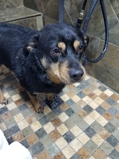 Pet Valu, 150 Main St, Lodi, NJ 07644, USA, 