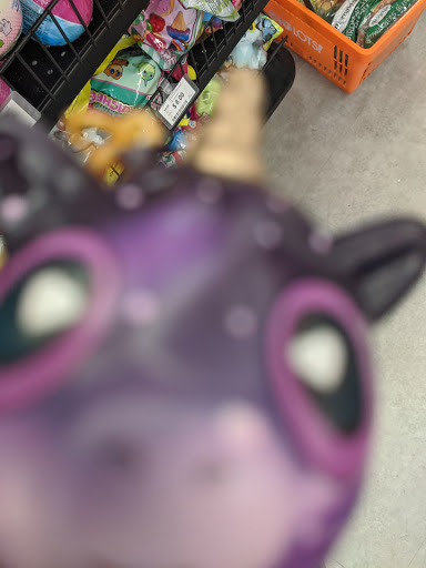 Discount Store «Big Lots», reviews and photos, 751 Good Homes Rd, Orlando, FL 32818, USA