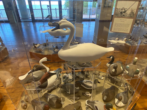 Museum «Havre De Grace Decoy Museum», reviews and photos, 215 Giles St, Havre De Grace, MD 21078, USA