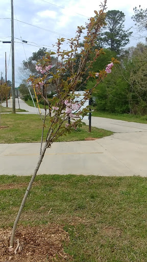 Recreation Center «Gresham Park Recreation Center», reviews and photos, 3113 Gresham Rd S E, Atlanta, GA 30316, USA