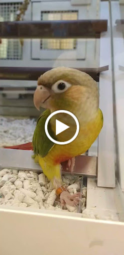 Pet Supply Store «PetSmart», reviews and photos, 9450 SE 82nd Ave, Portland, OR 97086, USA