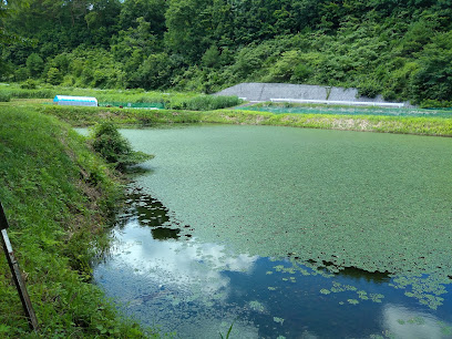 湯原新田の溜池