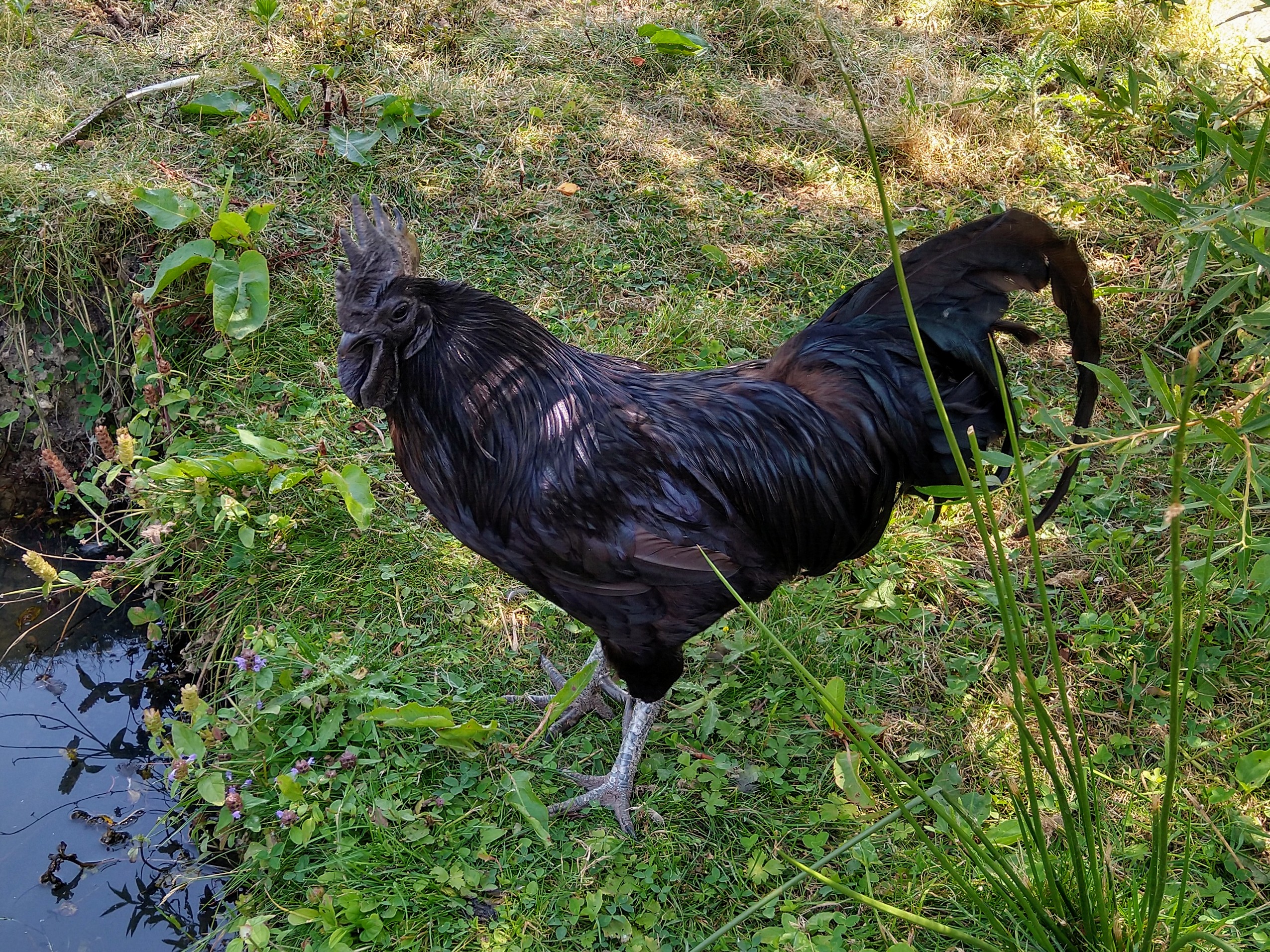 Photo n° 7 de l'avis de Just.e fait le 02/08/2019 à 17:06