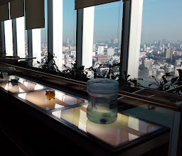 Medtronic México photo