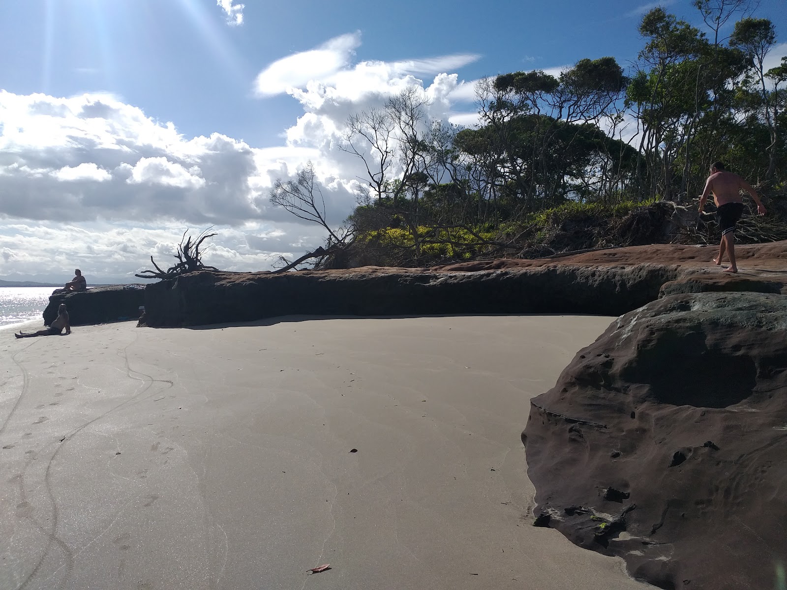 Photo de Dolphin's Bay Beach situé dans une zone naturelle