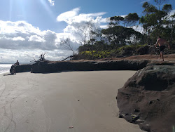 Photo de Dolphin's Bay Beach situé dans une zone naturelle
