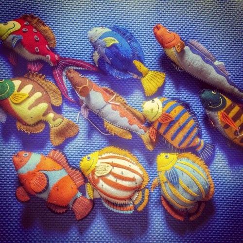 Gift Shop «Alki Surf Shop», reviews and photos, 2622 Alki Ave SW, Seattle, WA 98116, USA