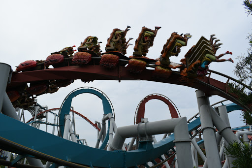 Roller Coaster «Dragon Challenge», reviews and photos, 6000 Universal Blvd, Orlando, FL 32819, USA