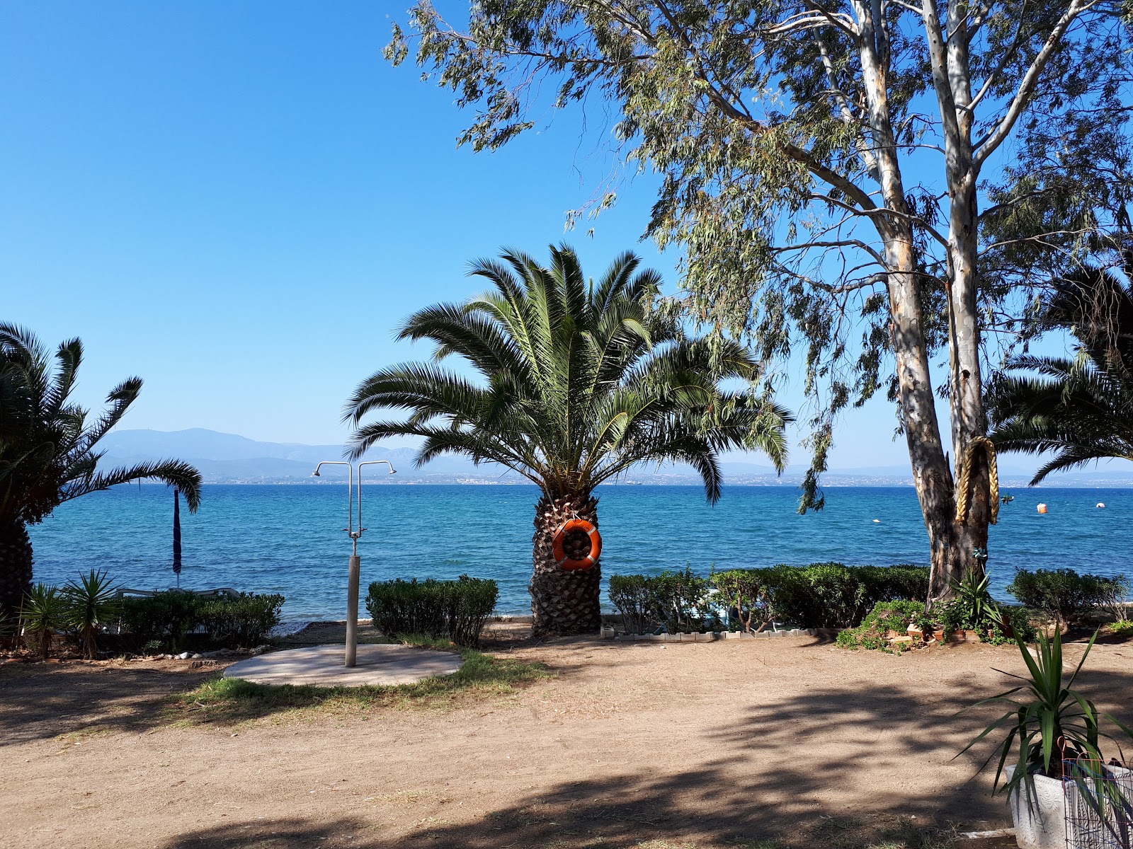 Milos camping beach'in fotoğrafı otel alanı