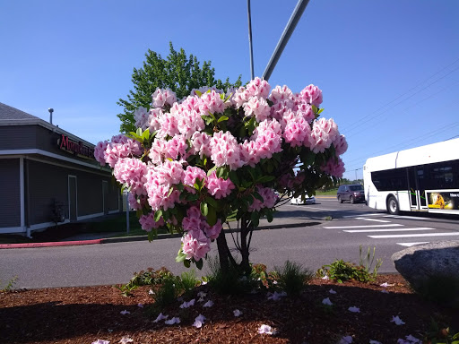 Shopping Mall «Harbour Pointe Shopping Center», reviews and photos, 11706 Mukilteo Speedway, Mukilteo, WA 98275, USA