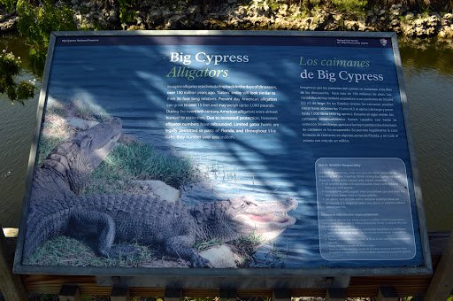 Visitor Center «Big Cypress Swamp Welcome Center», reviews and photos