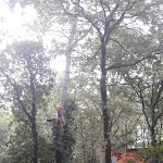 Photo n° 8 de l'avis de Gilles.a fait le 16/08/2018 à 17:27 pour Forêt Adrénaline Carnac - Parc accrobranche à Carnac