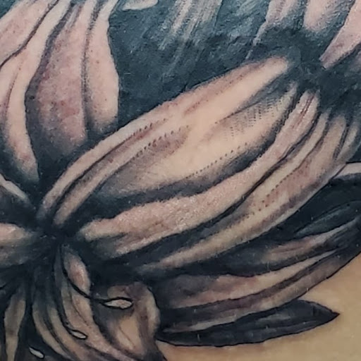 Explore massachusetts tattoo ideas, creative tattoo ideas in Morristown, available at Ink Dreams Tattoo