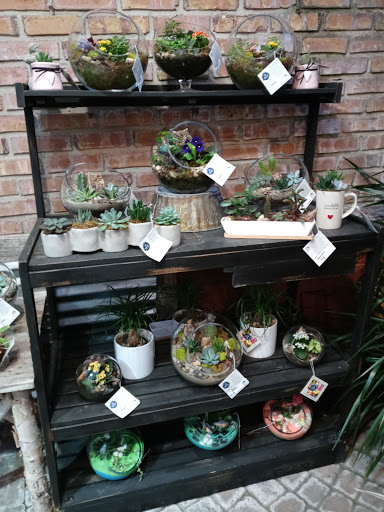 Florist «Viviano Flower Shop», reviews and photos, 32050 Harper Ave, St Clair Shores, MI 48082, USA