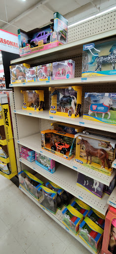 Home Improvement Store «Tractor Supply Co.», reviews and photos, 2385 E Market St, Harrisonburg, VA 22801, USA