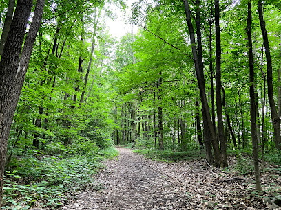Rousseau Forest, Pincourt
