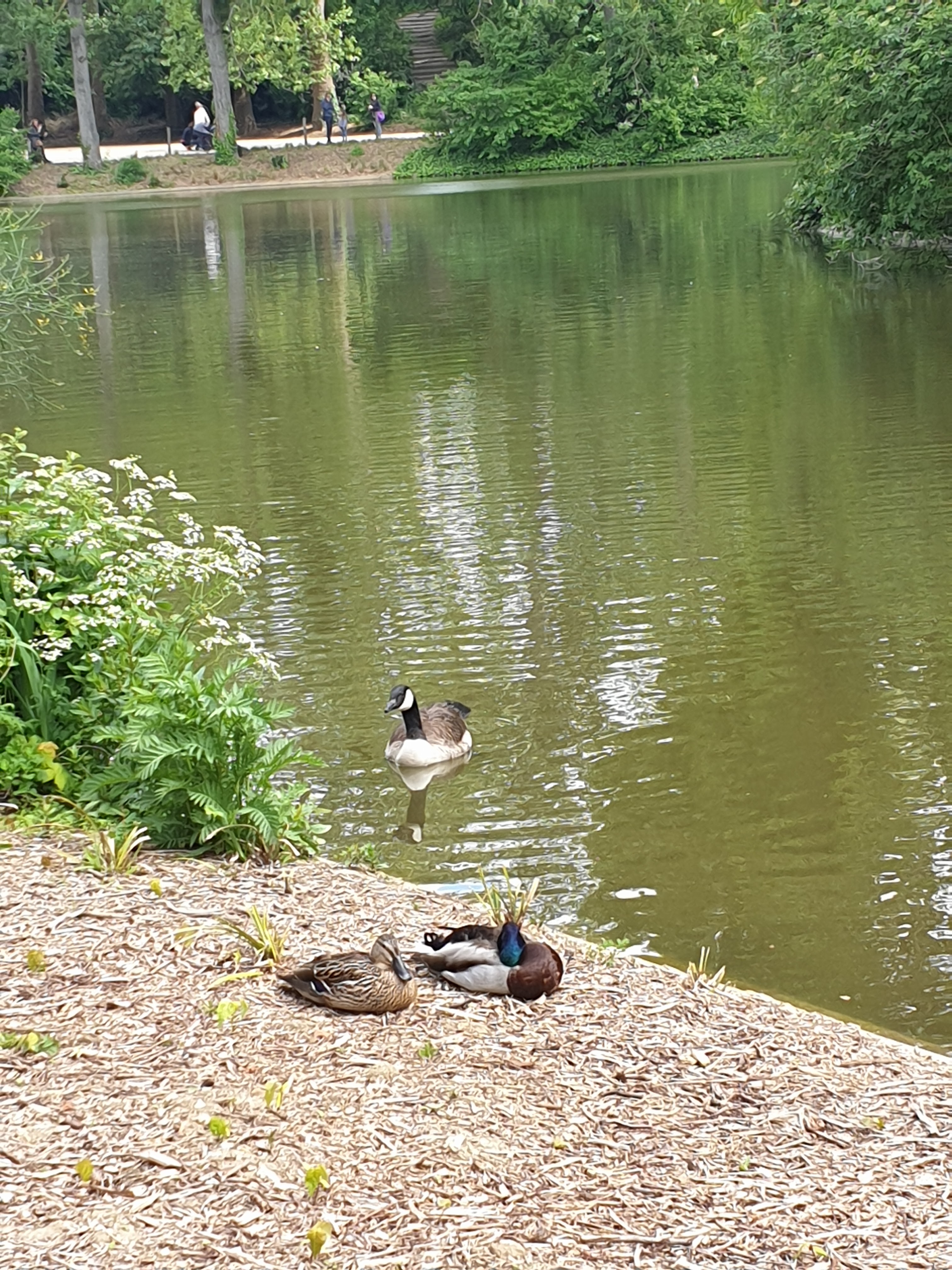 Photo n° 6 de l'avis de jean-pascal. fait le 12/05/2019 à 18:14