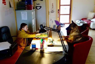 Anima-Pension pour animaux Challuy à Challuy