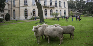 Photo n°8 de Ministère de l'Agriculture à Paris ()
